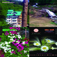 magzine_sbconsultancy