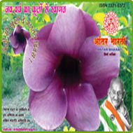 magzine_sbconsultancy